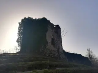 Ruderi di Santa Maria - Resti Chiesa di Santa Maria in Castellazzo a CureggioFrazione Castellazzo