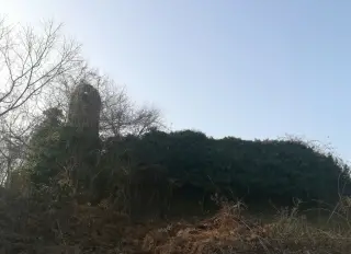 Ruderi di Santa Maria - Resti Chiesa di Santa Maria in Castellazzo a CureggioFrazione Castellazzo