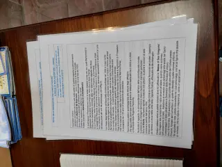 Foglio illustrativo - Cappella della Madonna del Boschetto a Frossasco