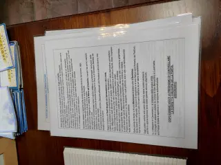 Foglio illustrativo - Cappella della Madonna del Boschetto a Frossasco