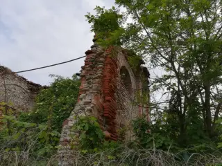 Interno diroccato e invaso dalla vegetazione - Chiesa di Sant'Eugenio a Lenta
