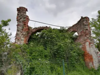 Interno diroccato e invaso dalla vegetazione - Chiesa di Sant'Eugenio a Lenta