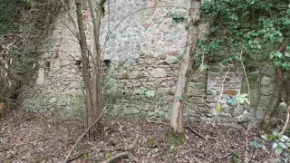 Resti - Resti Dell'oratorio di San Grato a Magnano