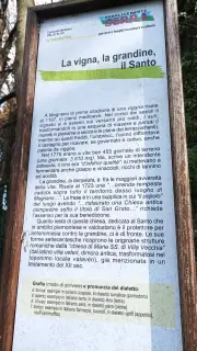 Pannello illustrativo - Resti Dell'oratorio di San Grato a Magnano